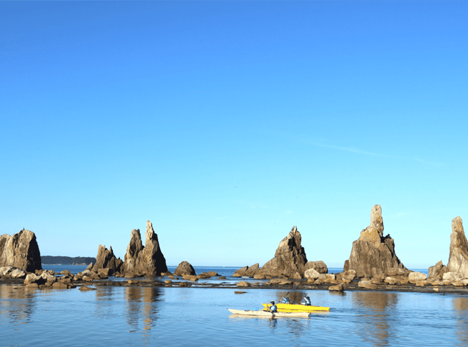 生き物観察 イメージ画像 01