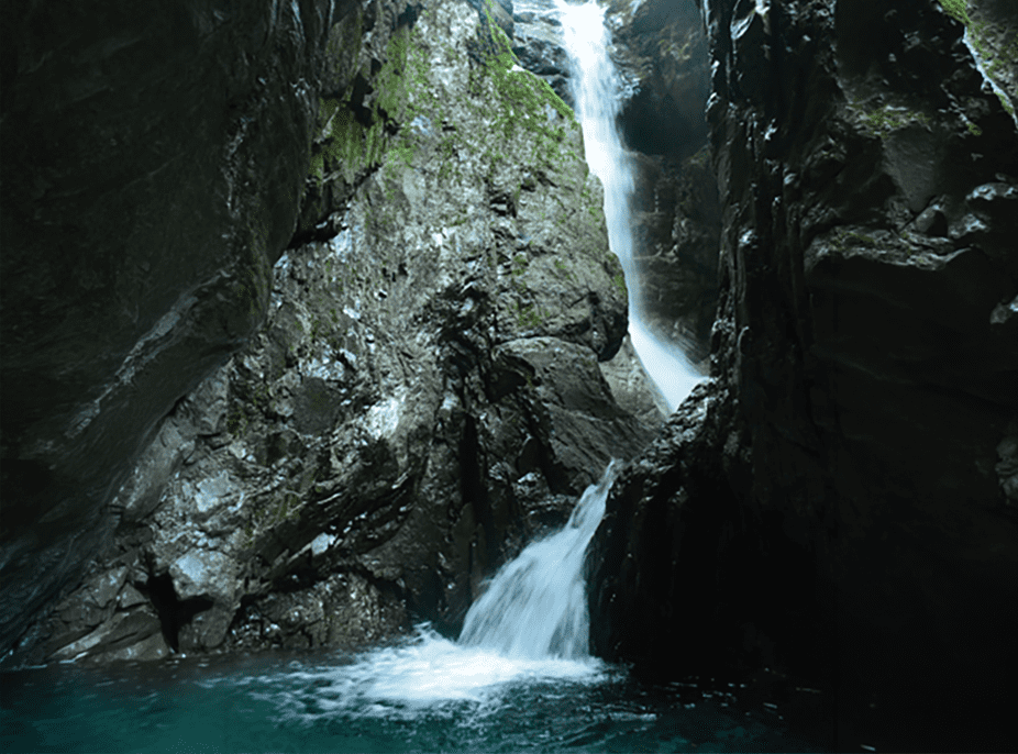 生き物観察 イメージ画像 02