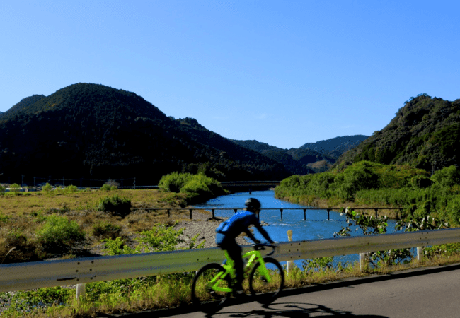 生き物観察 イメージ画像 04