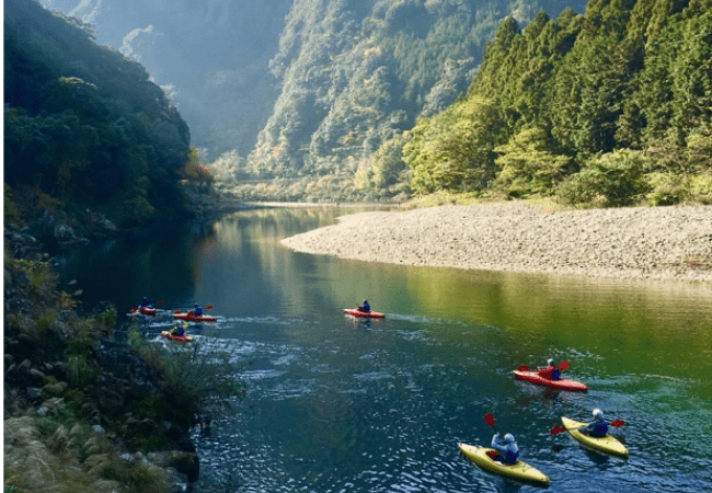 生き物観察 イメージ画像 04
