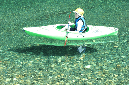 生き物観察 イメージ画像 04