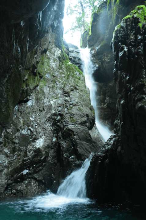 生き物観察 イメージ画像 04