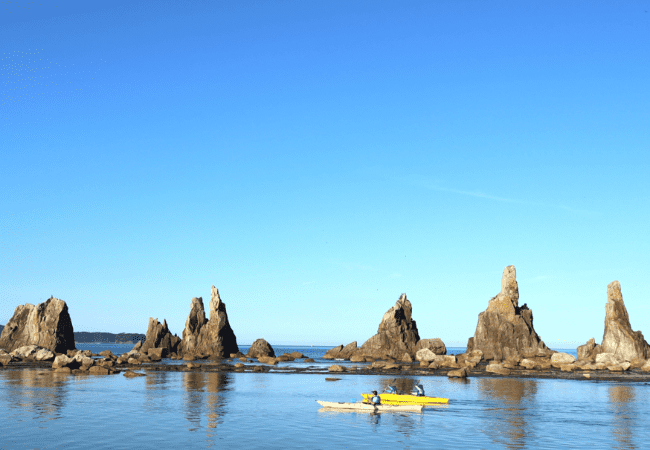 生き物観察 イメージ画像 04