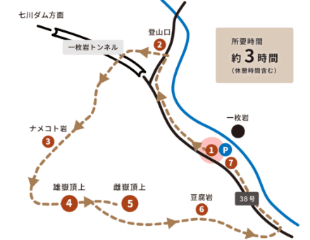 生き物観察 イメージ画像 04